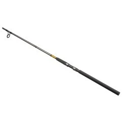 Shimano FX Spinning Rod