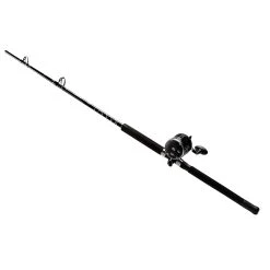 PENN Rival Level-Wind Combo