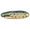 Acme Tackle Kastmaster Brook Trout Spoon Lure - 1/4 Oz.