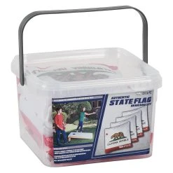 Wild Sports Regulation State Flag Cornhole Bean Bags - Set Of 4